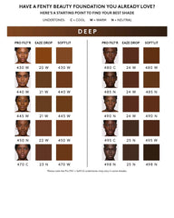 Pro Filt'r Soft Matte Longwear Foundation — #480